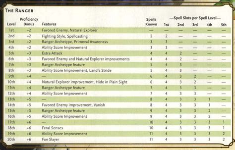 Ranger Spells 5e: Guide to the Best DnD Ranger Spells .